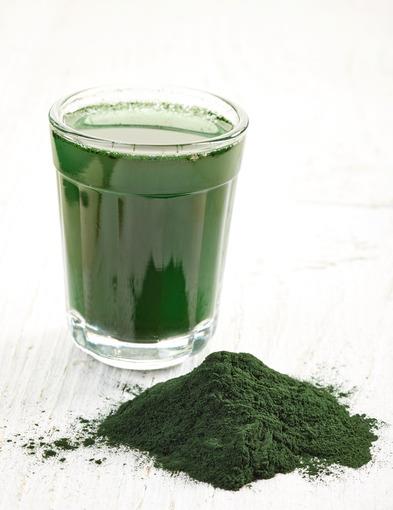 Cloroffyll Powder.jpg Chlorophyll Powder.jpg