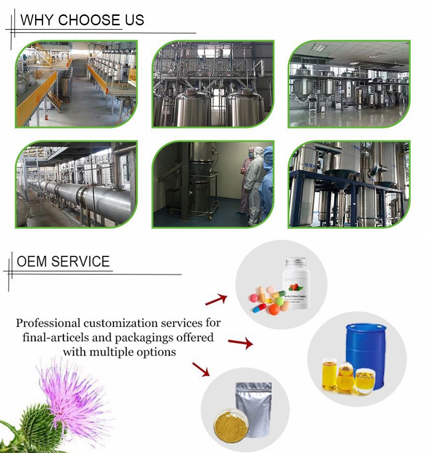 product-1-1 SOST 1