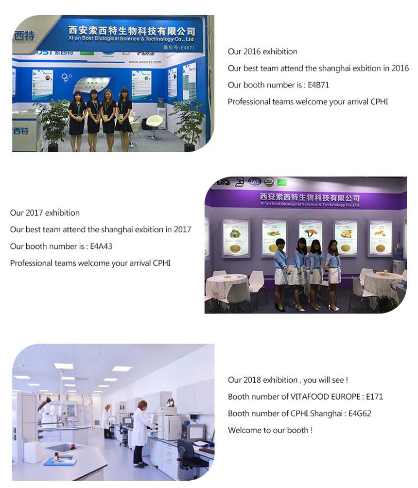 sost exhibition sost exhibition