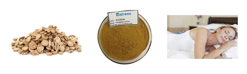 Astragalus1