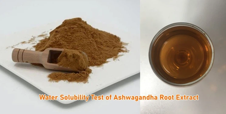 ashwagandha root extract oem manufacturer ashwagandha root extract oem manufacturer