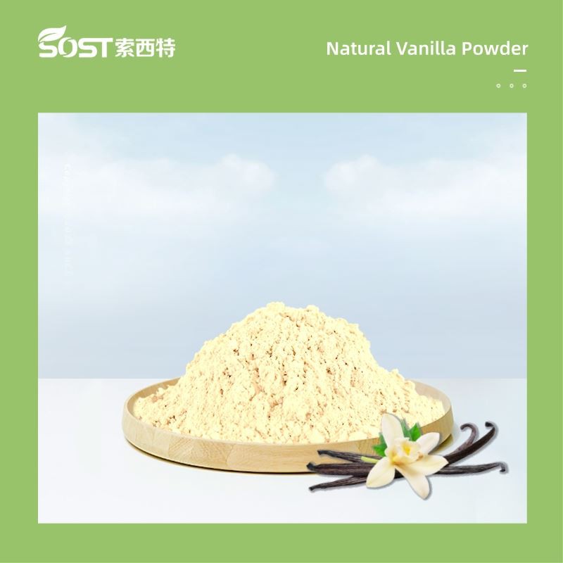 Natural Vanilla Powder