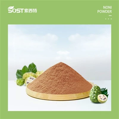 Powdwr Sudd Ffrwythau Noni Naturiol