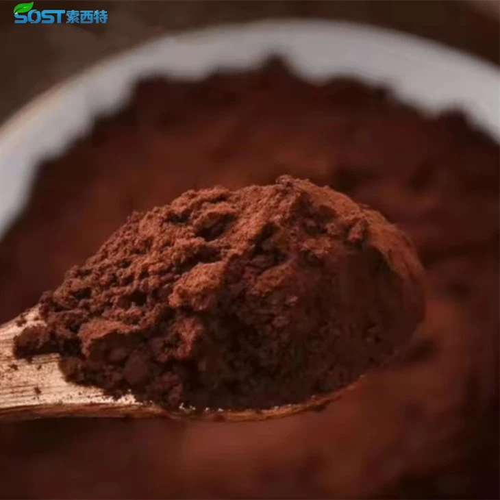 Buy Reishi Mushroom Extract