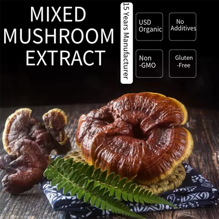 Buy Reishi Mushroom Extract