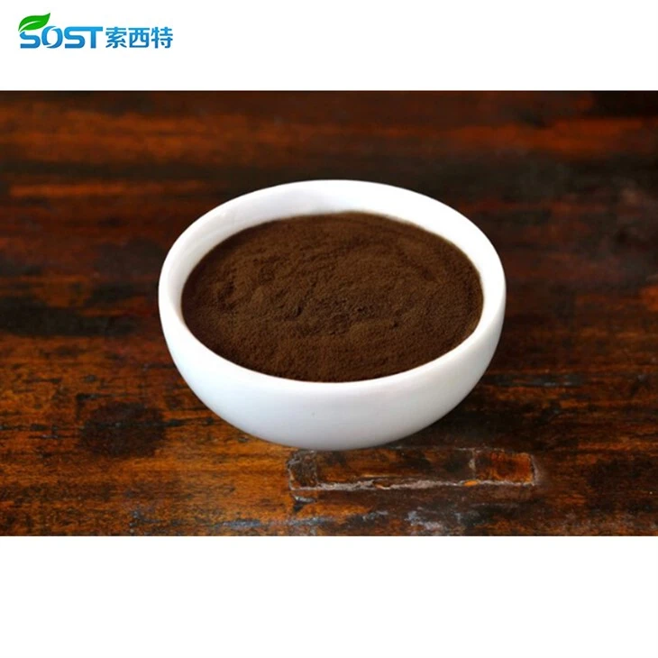 Buy Reishi Mushroom Extract