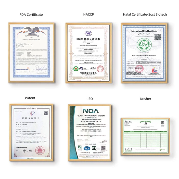Andrographis Paniculata Extract Powder suppliers