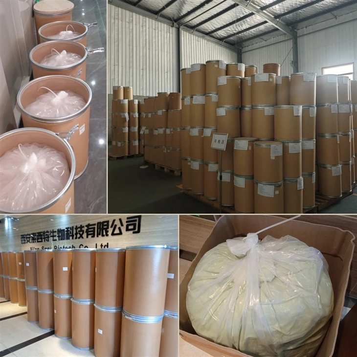 Andrographis Paniculata Extract Powder factory